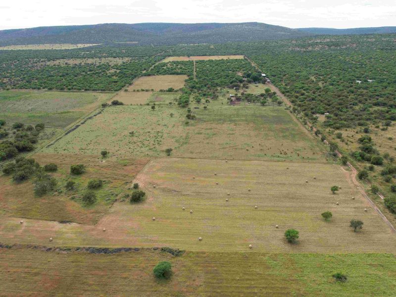 THE PERFECT INCOME GENERATION - Photo 2