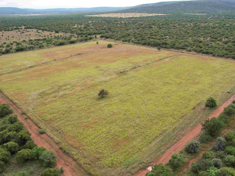 THE PERFECT INCOME GENERATION - Photo 10