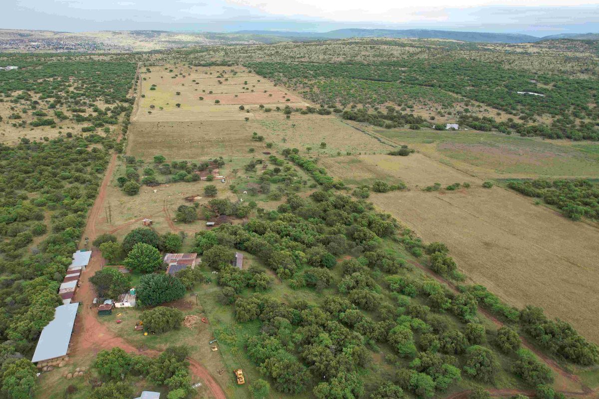 THE PERFECT INCOME GENERATION - Photo 3