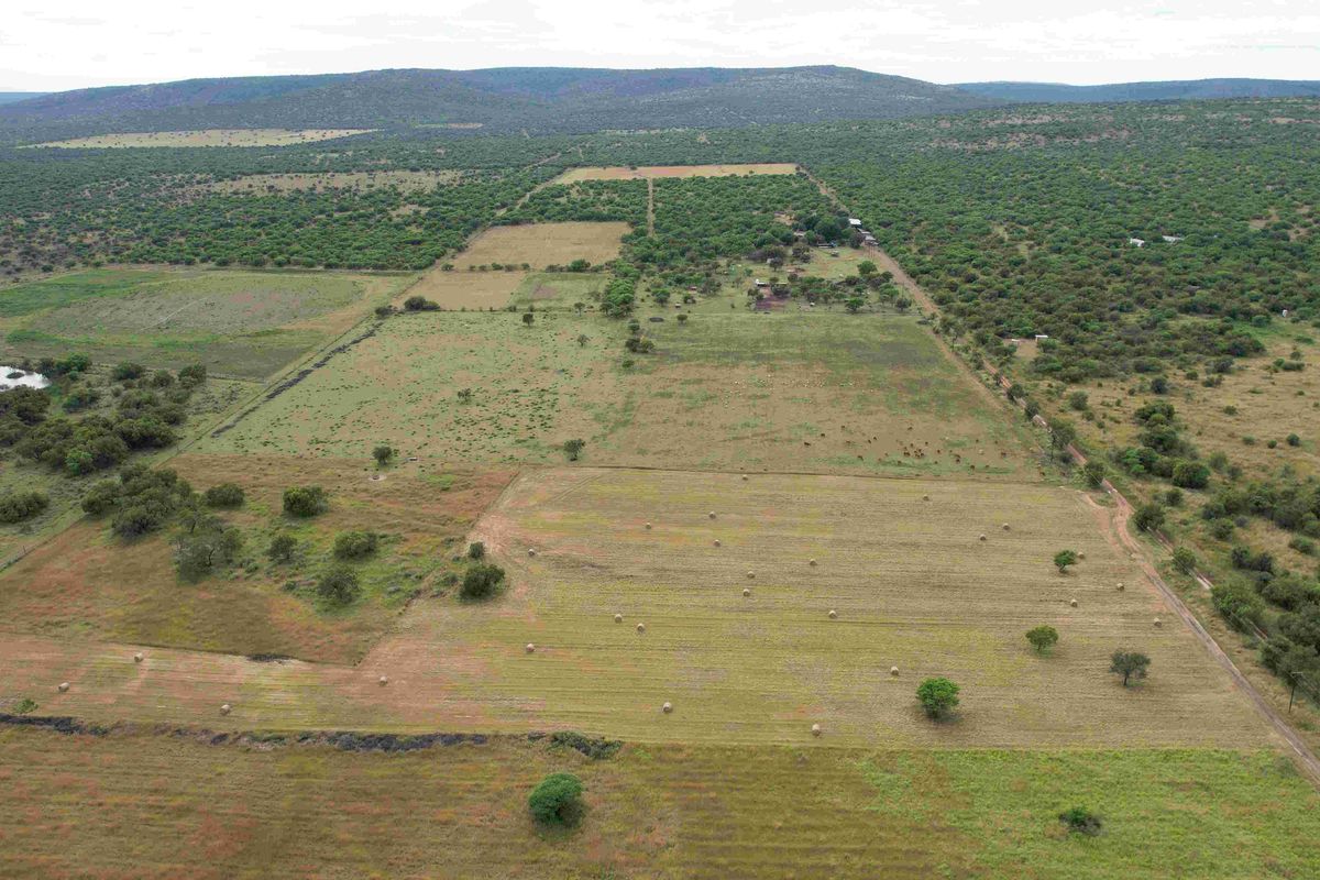 An aerial view of a large farm property featuring expansive grazing paddocks, natural bushveld, and a small farm dam.