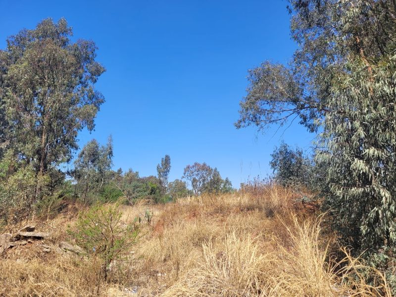 One Hectare yard space To Let in Clayville - Photo 7