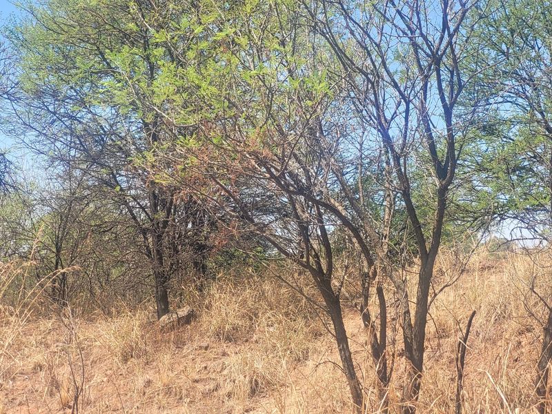 One Hectare yard space To Let in Clayville - Photo 6