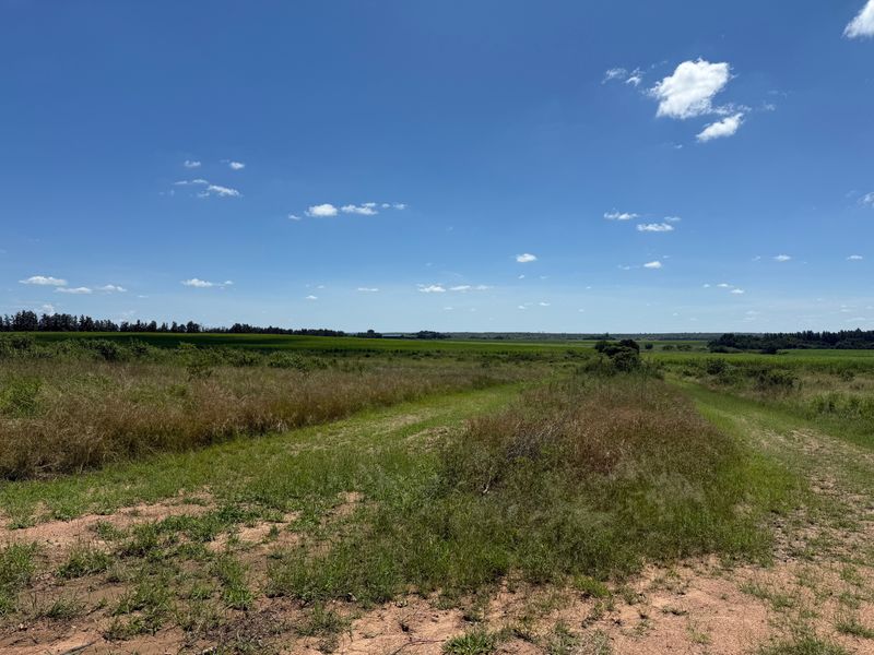Operational farm on the Crocodile river on Auction - Photo 8