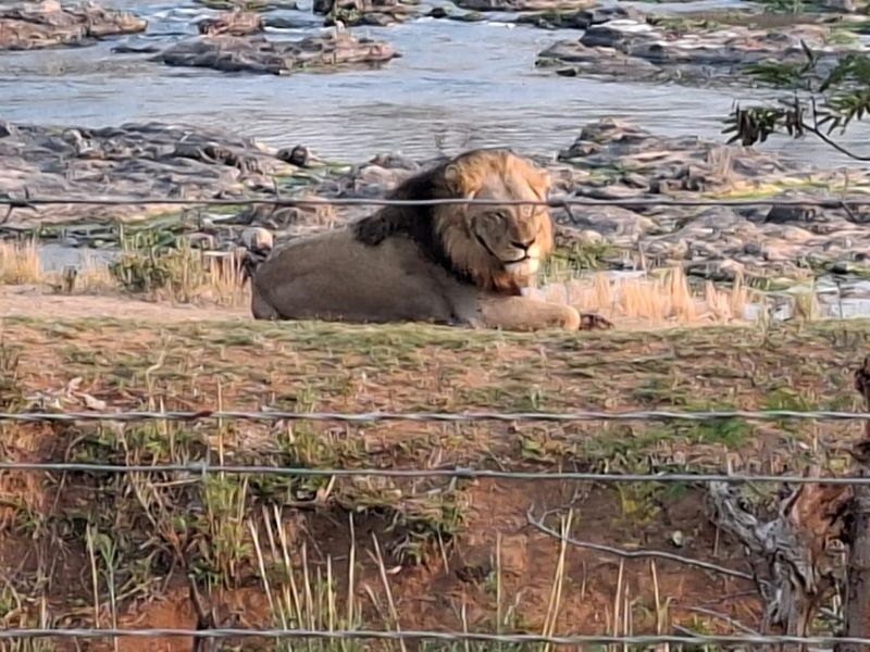Operational farm on the Crocodile river on Auction - Photo 4