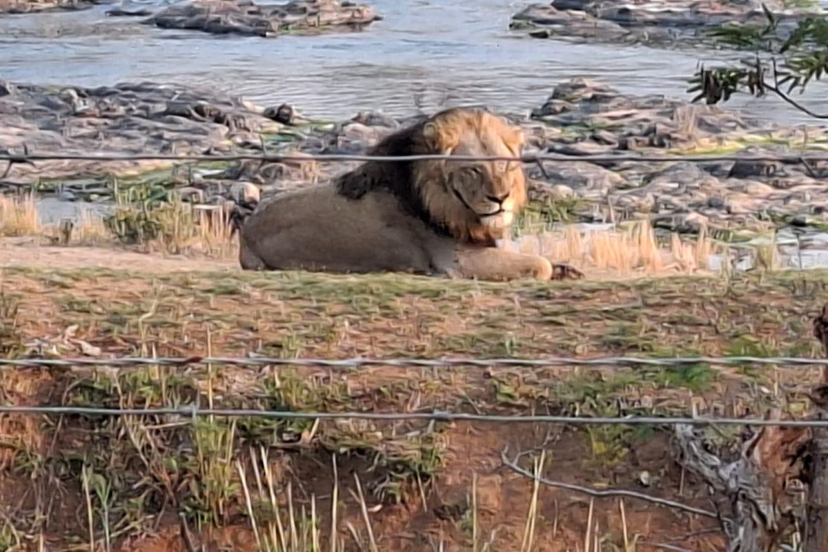 Operational farm on the Crocodile river on Auction - Photo 4