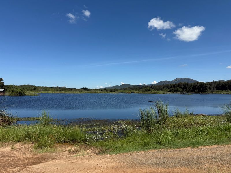 Operational farm on the Crocodile river on Auction - Photo 10