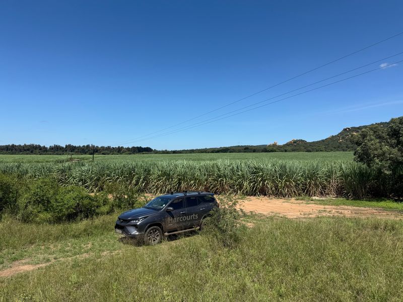 Operational farm on the Crocodile river on Auction - Photo 7