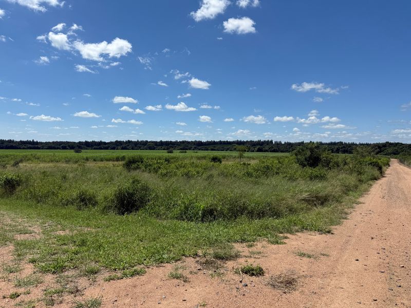 Operational farm on the Crocodile river on Auction - Photo 9