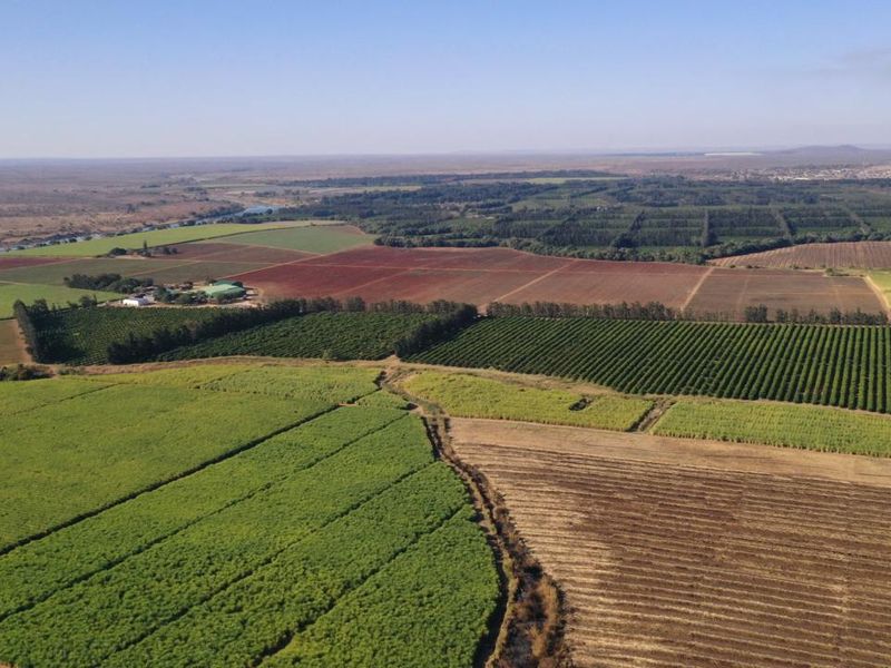 Operational farm on the Crocodile river on Auction - Photo 3
