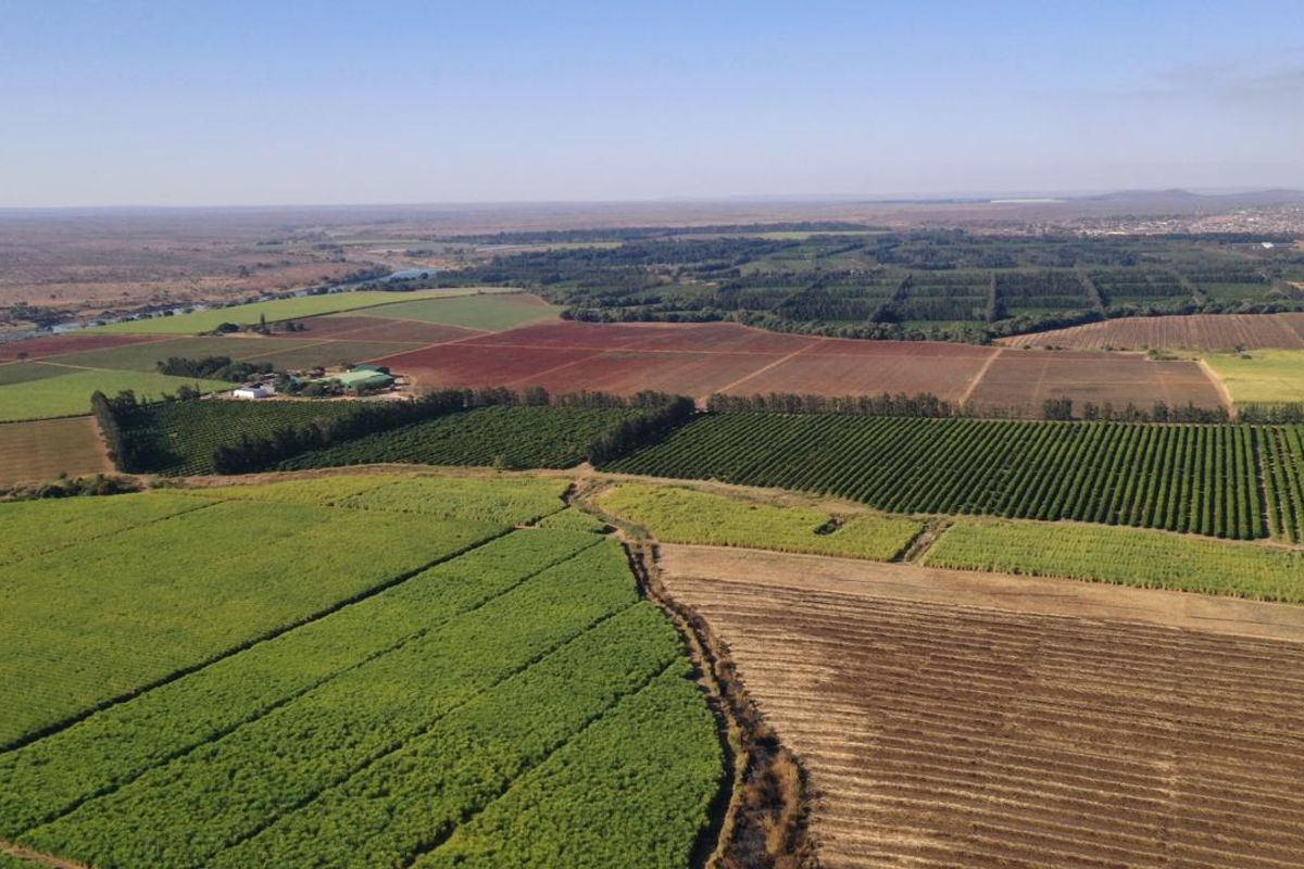 Operational farm on the Crocodile river on Auction - Photo 3