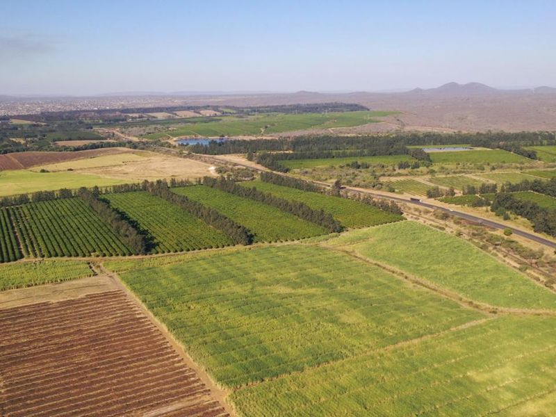 Operational farm on the Crocodile river on Auction - Photo 2