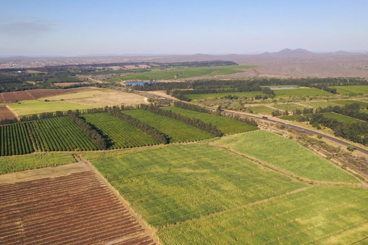 Operational farm on the Crocodile river on Auction - Photo 2