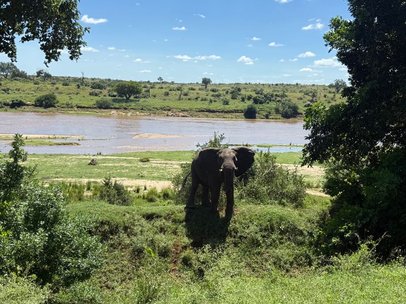 Operational farm on the Crocodile river on Auction - Photo 5