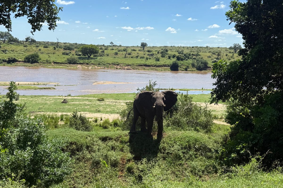 Operational farm on the Crocodile river on Auction - Photo 5