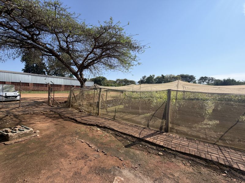 Prime Industrial Property with Established Macadamia Nursery For sale , in Louis trichardt - Photo 7