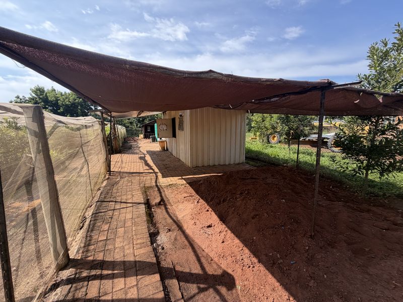 Prime Industrial Property with Established Macadamia Nursery For sale , in Louis trichardt - Photo 6