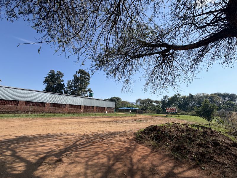 Prime Industrial Property with Established Macadamia Nursery For sale , in Louis trichardt - Photo 8