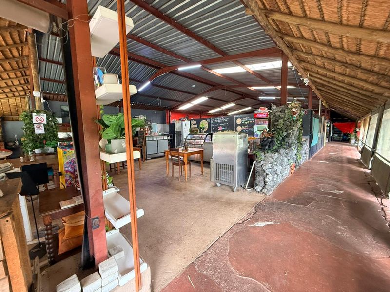 Grow Your Dream: Vibrant Flower-Filled Restaurant Ready for New Ownership - Photo 4