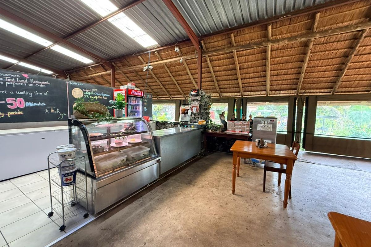 Grow Your Dream: Vibrant Flower-Filled Restaurant Ready for New Ownership - Photo 5