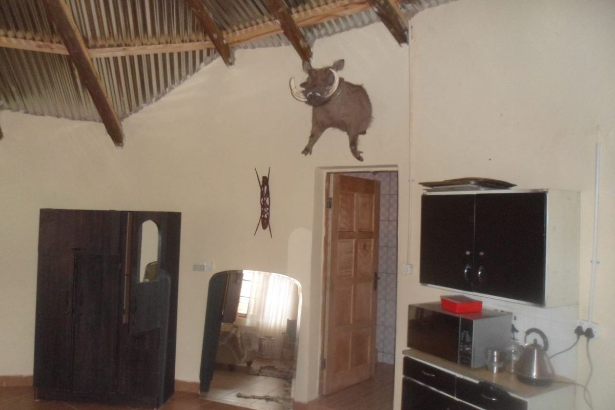 A rustic interior space featuring exposed corrugated iron roofing, timber rafters, tiled flooring, and built-in cabinetry with access to an adjoining room.