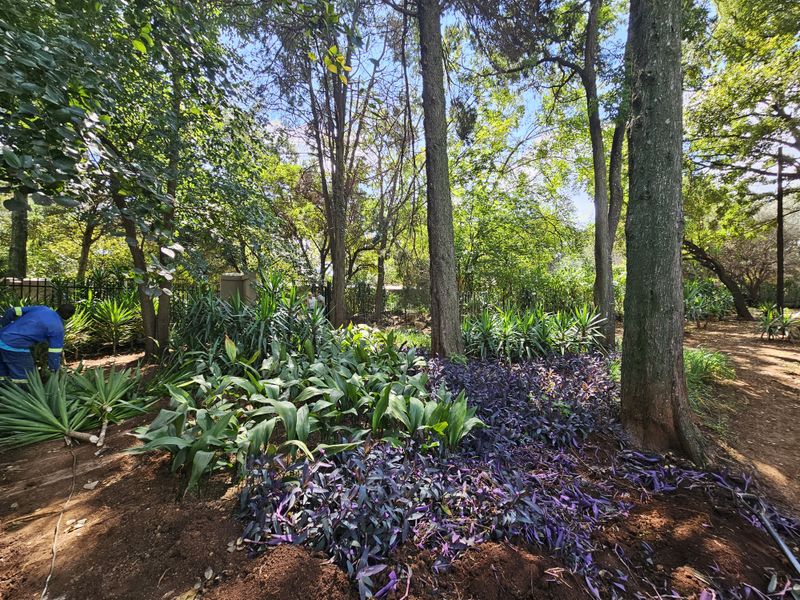 TO LET Centurion Small Office Space / Salon Space - Photo 3