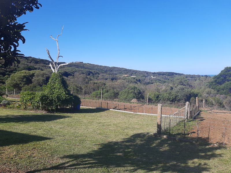 Farm For Sale In Groot Brakrivier - Photo 5