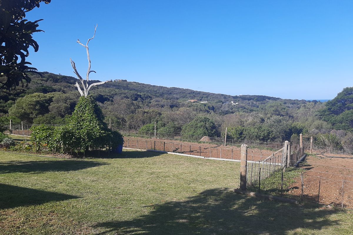 Farm For Sale In Groot Brakrivier - Photo 5
