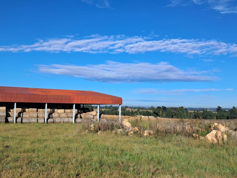 19 Ha Vacant land with 1200m2 Warehouse FOR SALE in Delmas area - Photo 6