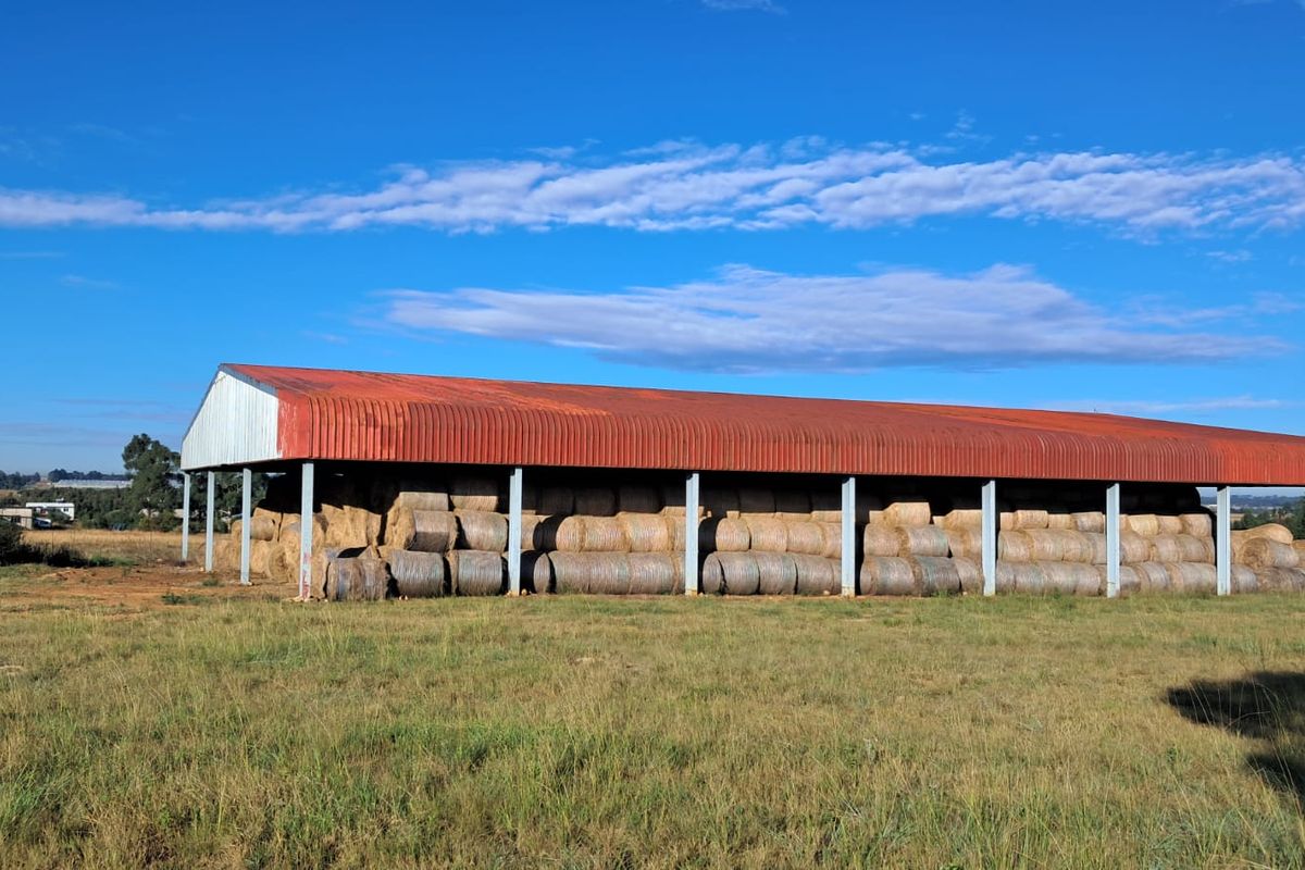 19 Ha Vacant land with 1200m2 Warehouse FOR SALE in Delmas area - Photo 4