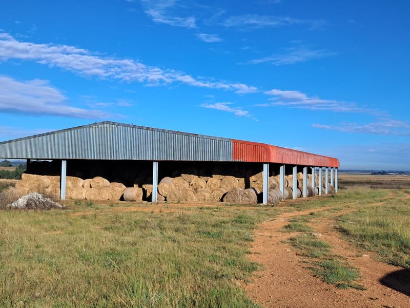 19 Ha Vacant land with 1200m2 Warehouse FOR SALE in Delmas area - Photo 5