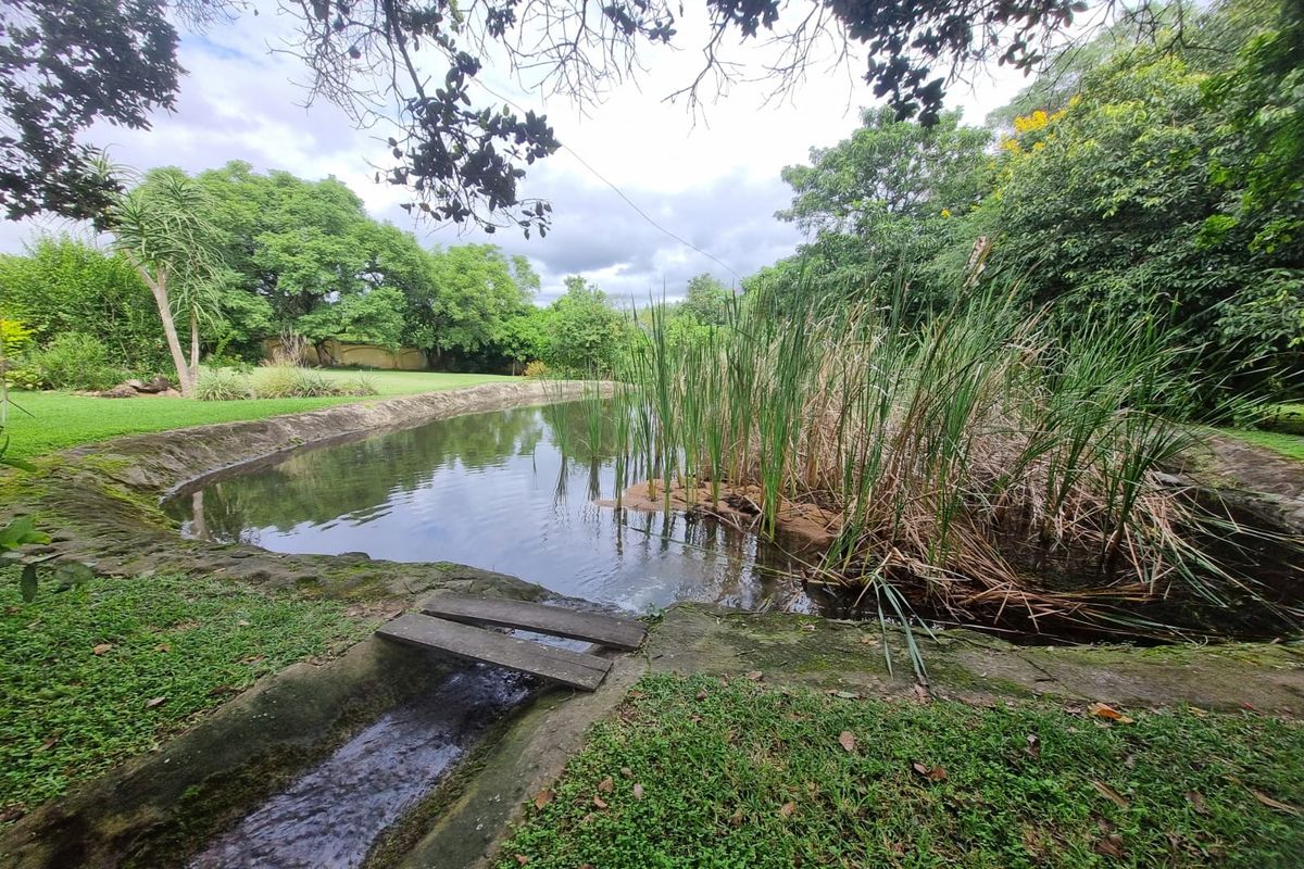 Exceptional 2-Hectare Smallholding with Factory, 5 Houses,  Rental Income  - Just outside Nelspruit. - Photo 2