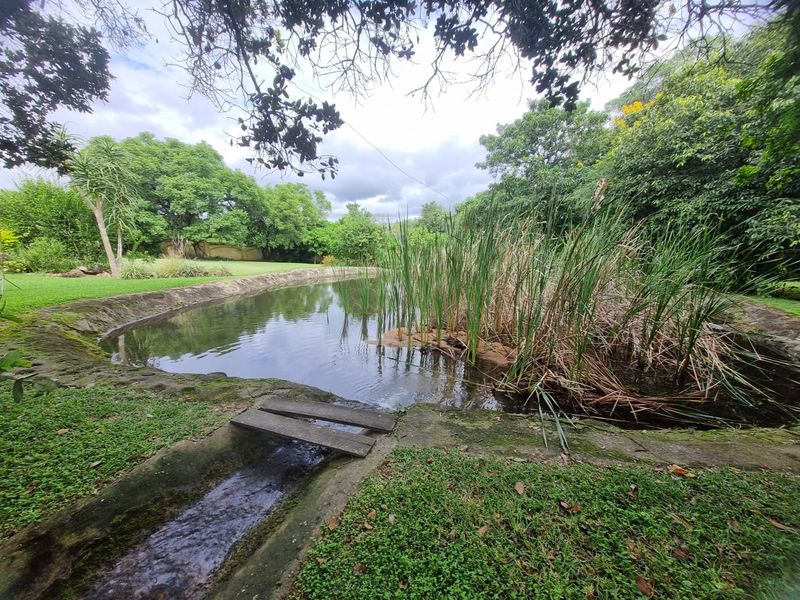 Exceptional 2-Hectare Smallholding with Factory, 5 Houses,  Rental Income  - Just outside Nelspruit. - Photo 2