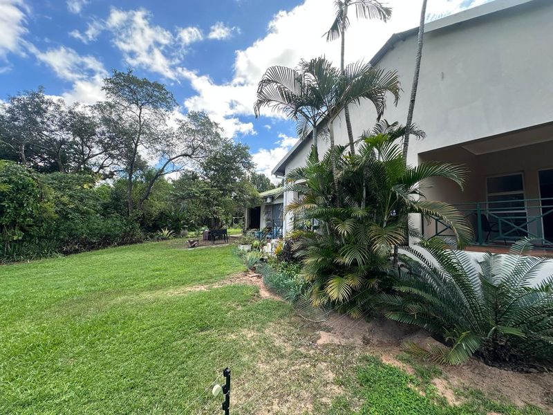 Exceptional 2-Hectare Smallholding with Rental Income  - Just outside Nelspruit. - Photo 5