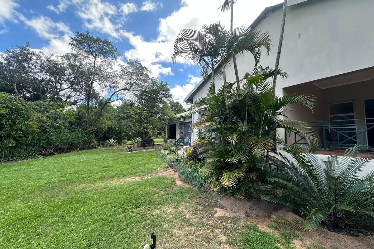 Exceptional 2-Hectare Smallholding with Rental Income  - Just outside Nelspruit. - Photo 5