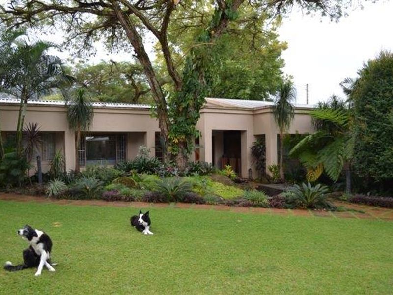 Exceptional 2-Hectare Smallholding with Factory, 5 Houses,  Rental Income  - Just outside Nelspruit. - Photo 9