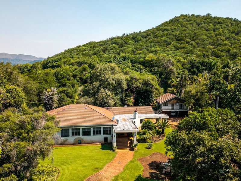 Stunning Sugarcane Production Farm in the Malelane Area - Photo 4