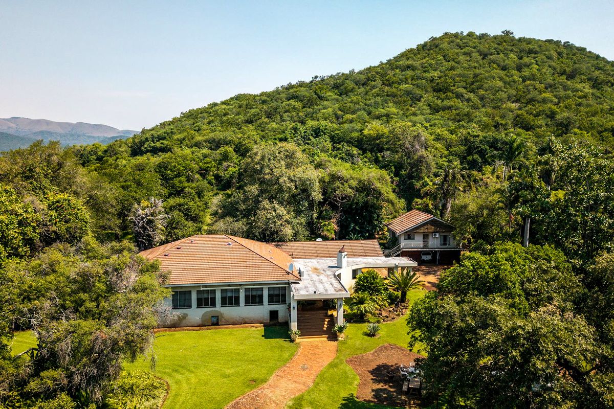 Stunning Sugarcane Production Farm in the Malelane Area - Photo 4