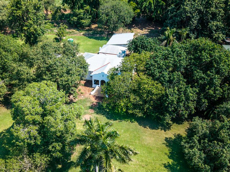 Stunning Sugarcane Production Farm in the Malelane Area - Photo 7