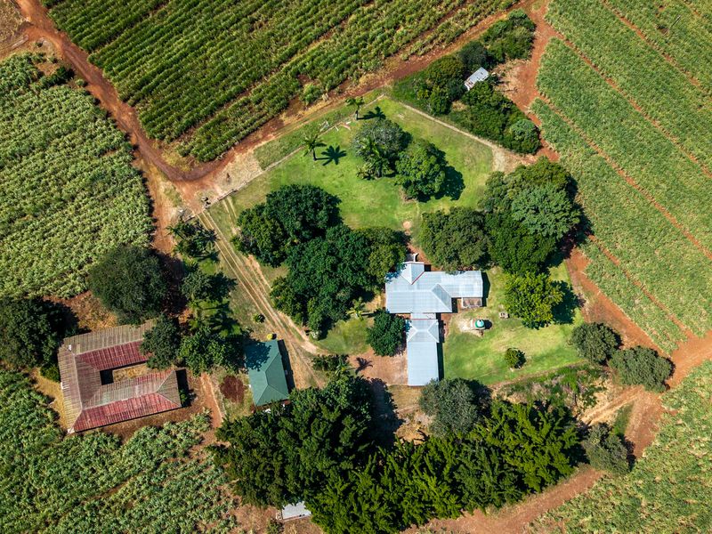 Stunning Sugarcane Production Farm in the Malelane Area - Photo 6