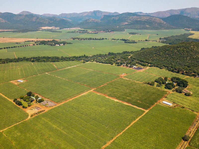 Stunning Sugarcane Production Farm in the Malelane Area - Photo 3