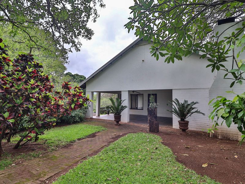 Stunning Sugarcane Production Farm in the Malelane Area - Photo 10