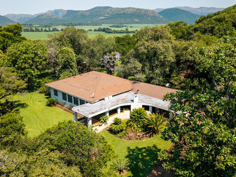 Stunning Sugarcane Production Farm in the Malelane Area - Photo 2
