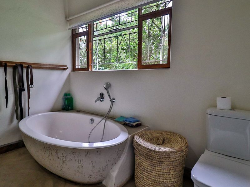 Stunning Sugarcane Production Farm in the Malelane Area - Photo 9