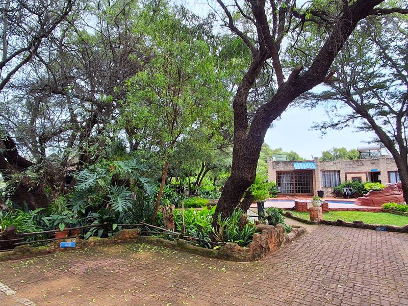 A landscaped rear garden area featuring mature trees, brick paving, a stone retaining wall, and a swimming pool with a solar water heater.