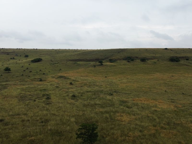 Dream Big: 55 Hectares to Develop a Town Extention of Your Own - Photo 10