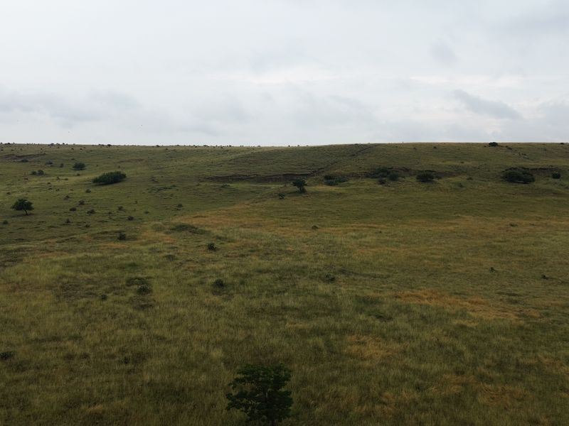 Dream Big: 55 Hectares to Develop a Town Extention of Your Own - Photo 9