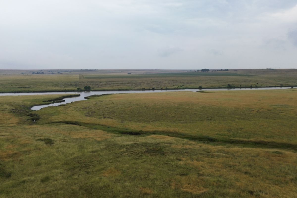 Dream Big: 55 Hectares to Develop a Town Extention of Your Own - Photo 2