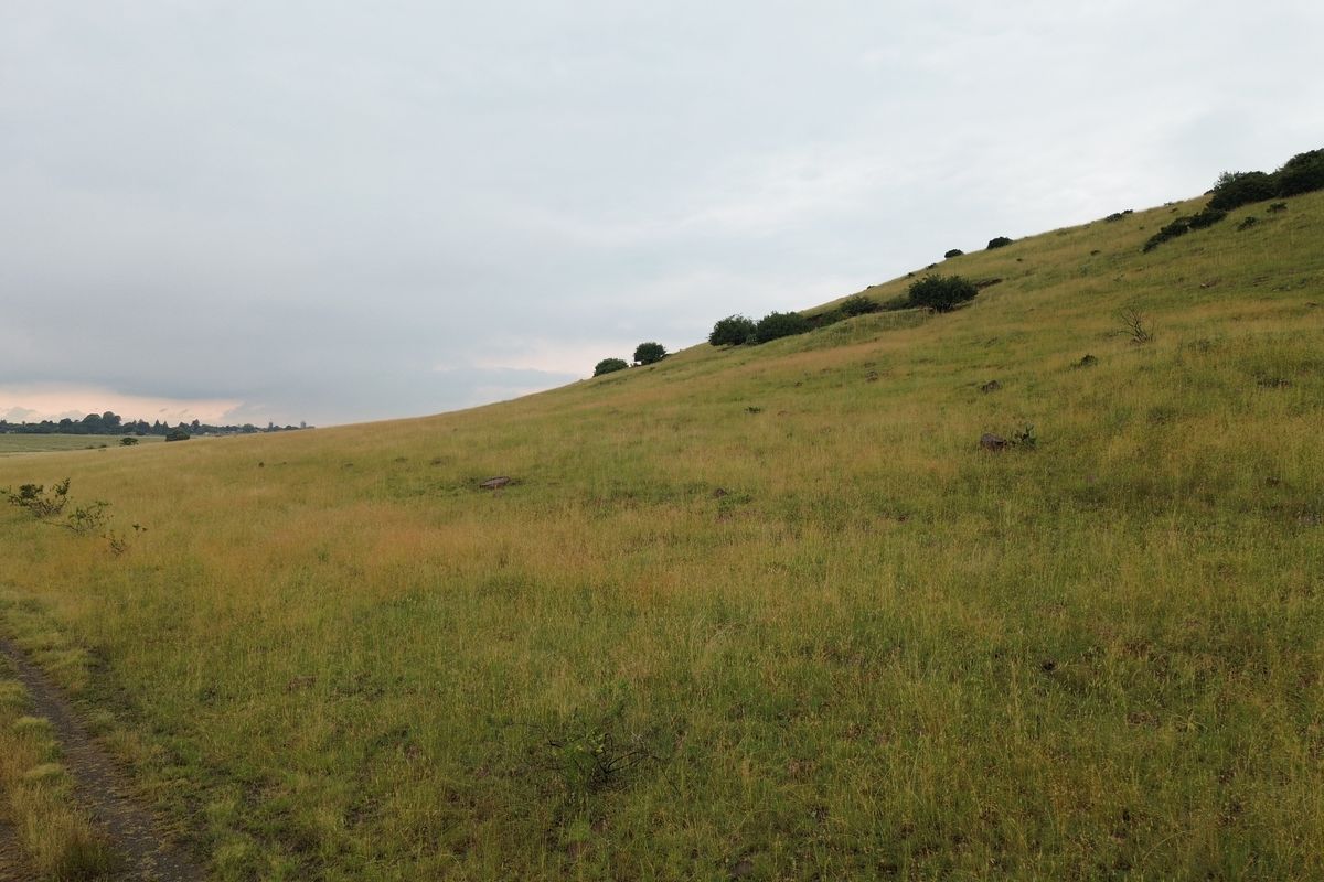 A view of the expansive, sloped vacant land featuring natural grassland and a dirt access track.