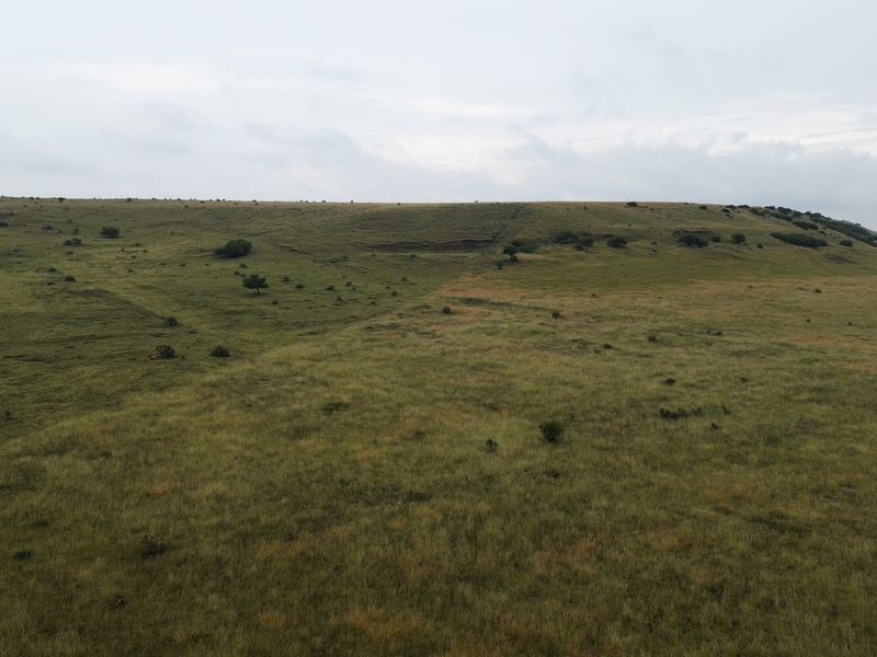 Dream Big: 55 Hectares to Develop a Town Extention of Your Own - Photo 4