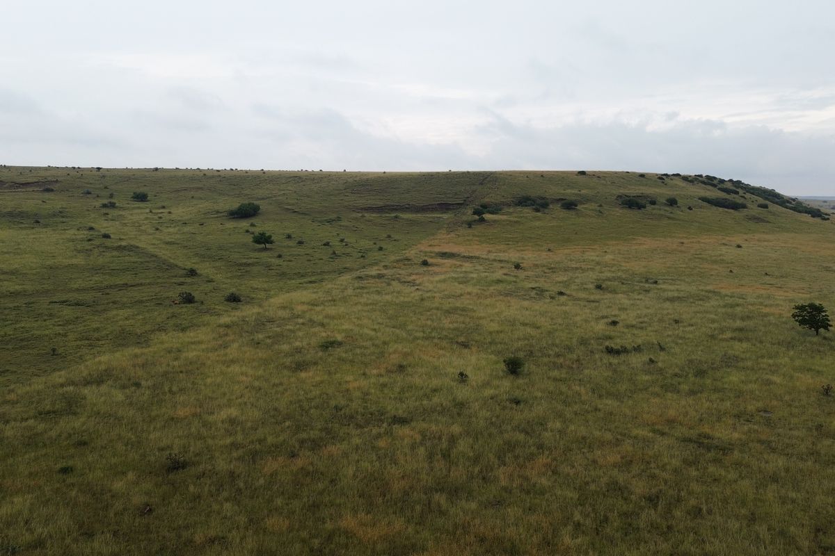 Dream Big: 55 Hectares to Develop a Town Extention of Your Own - Photo 4